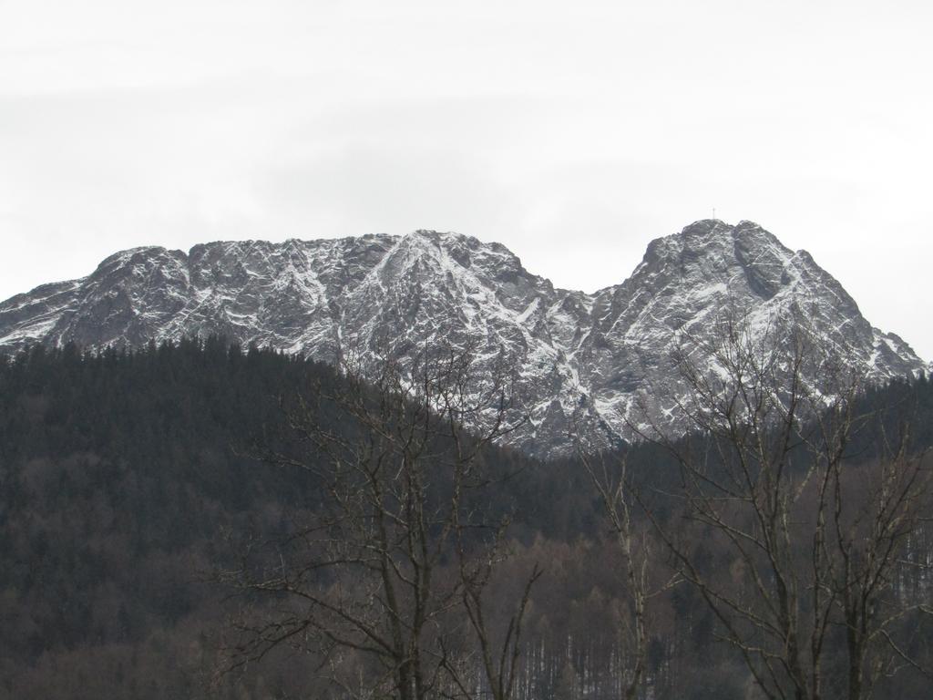 Goscinne U Jaska Zakopane